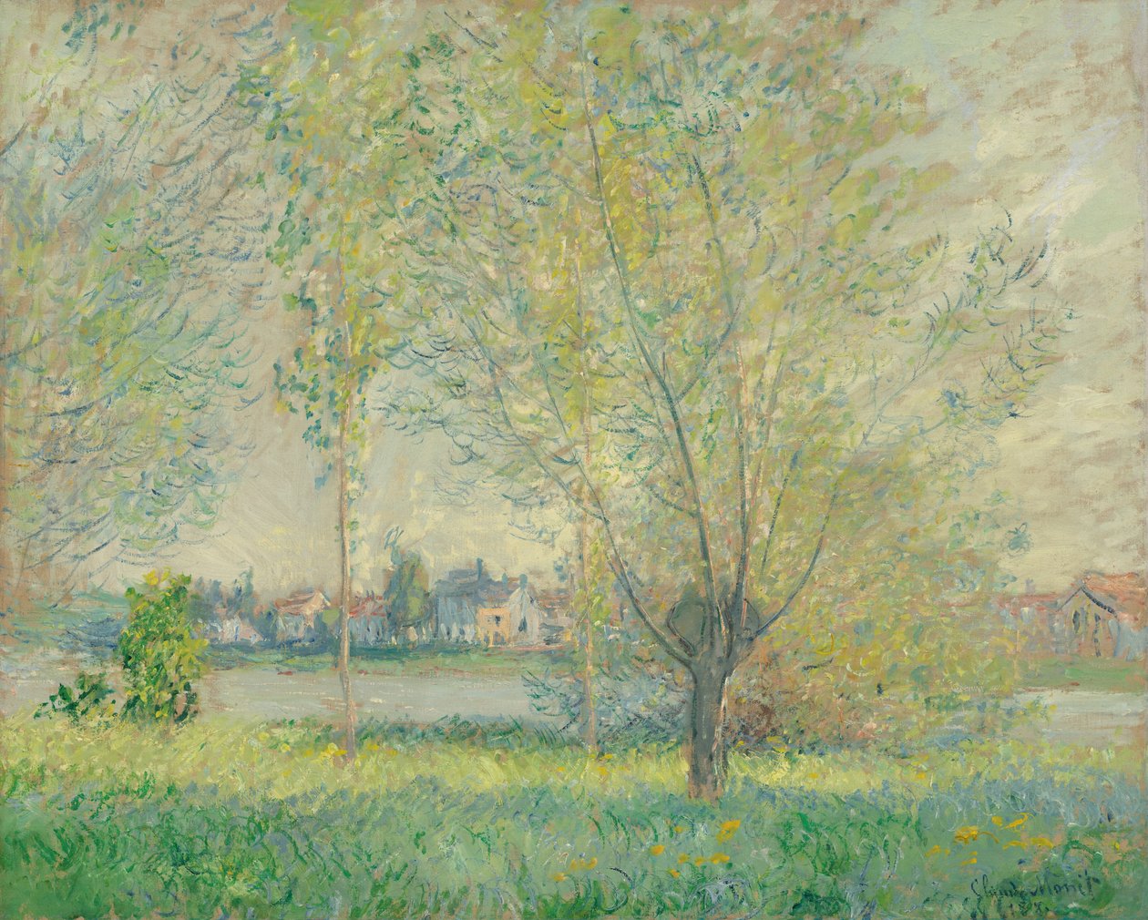 Les saules - Claude Monet