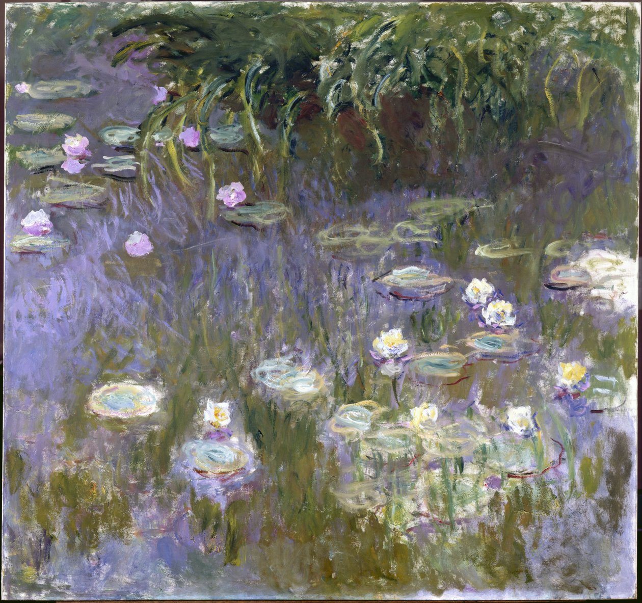 Nénuphars - Claude Monet