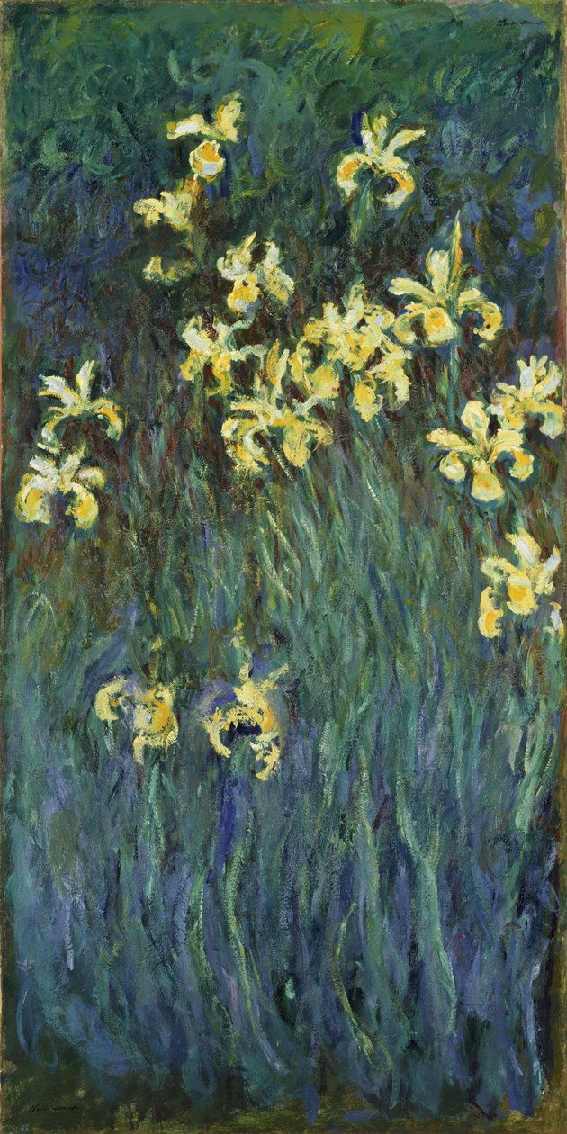 Iris jaunes, 1914-1917 - Claude Monet