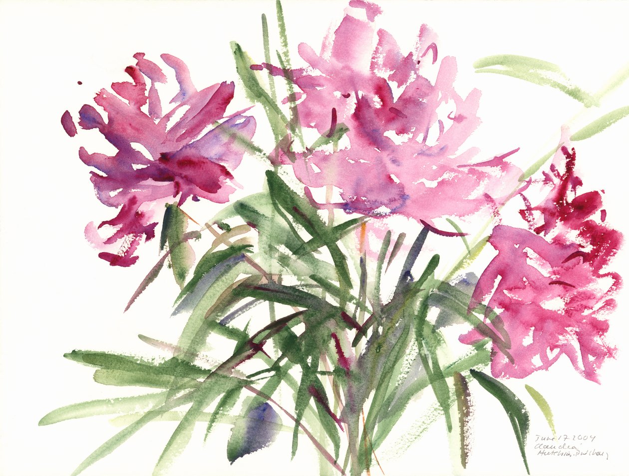 Pivoines, 2004 - Claudia Hutchins Puechavy