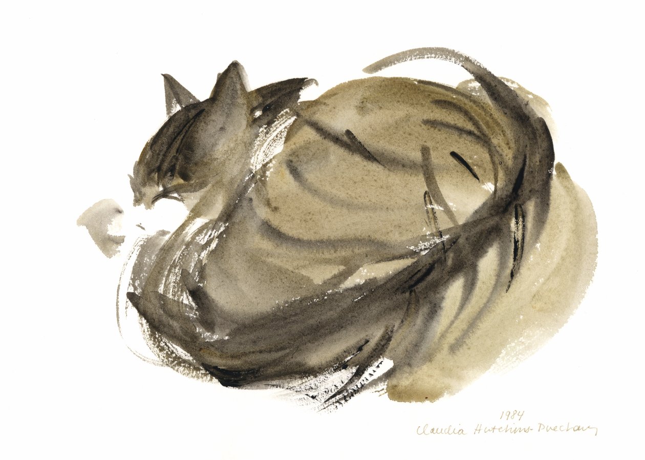 Chat endormi - Claudia Hutchins Puechavy