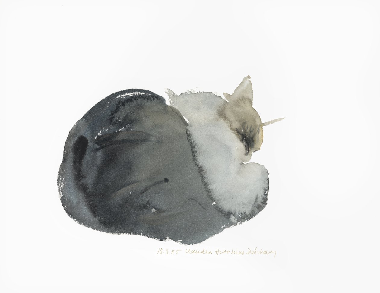 Chat endormi, 1985 - Claudia Hutchins Puechavy