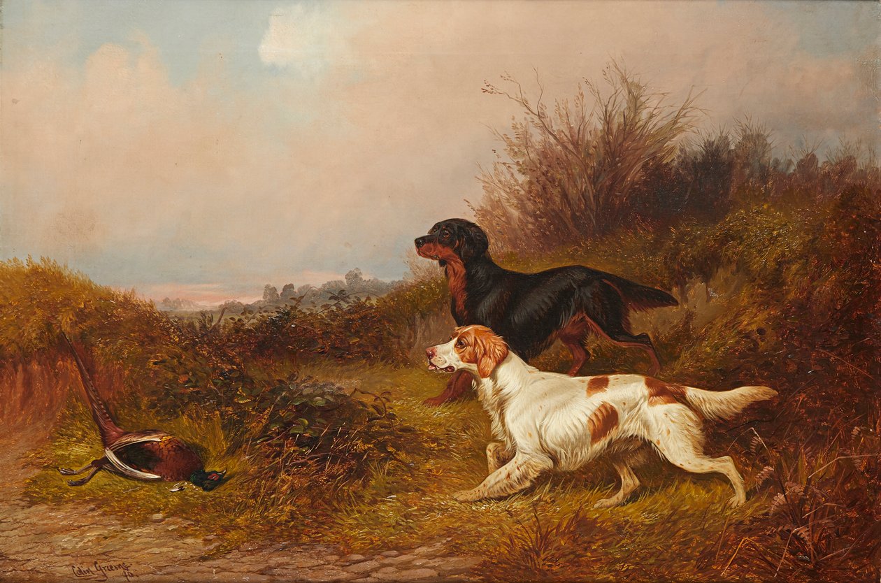 Retrievers au travail - Colin Graeme