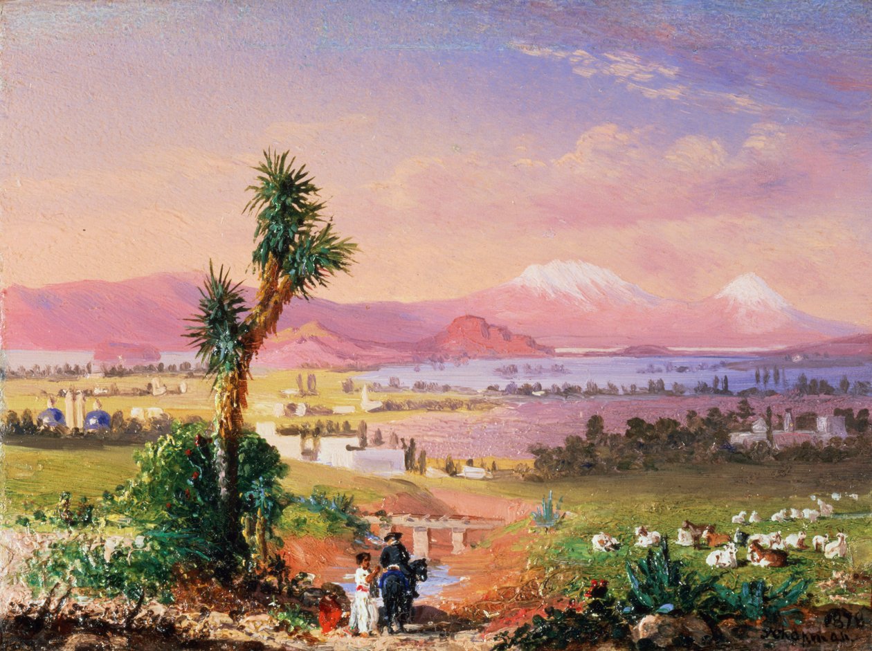 Vue de Mexico - Conrad Wise Chapman