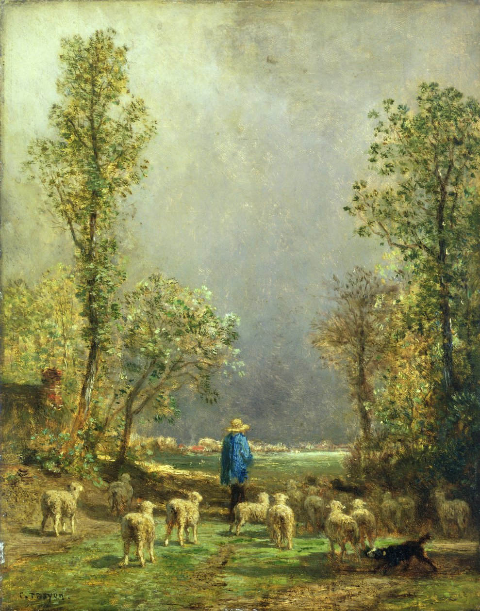 Moutons regardant une tempête - Constant Emile Troyon