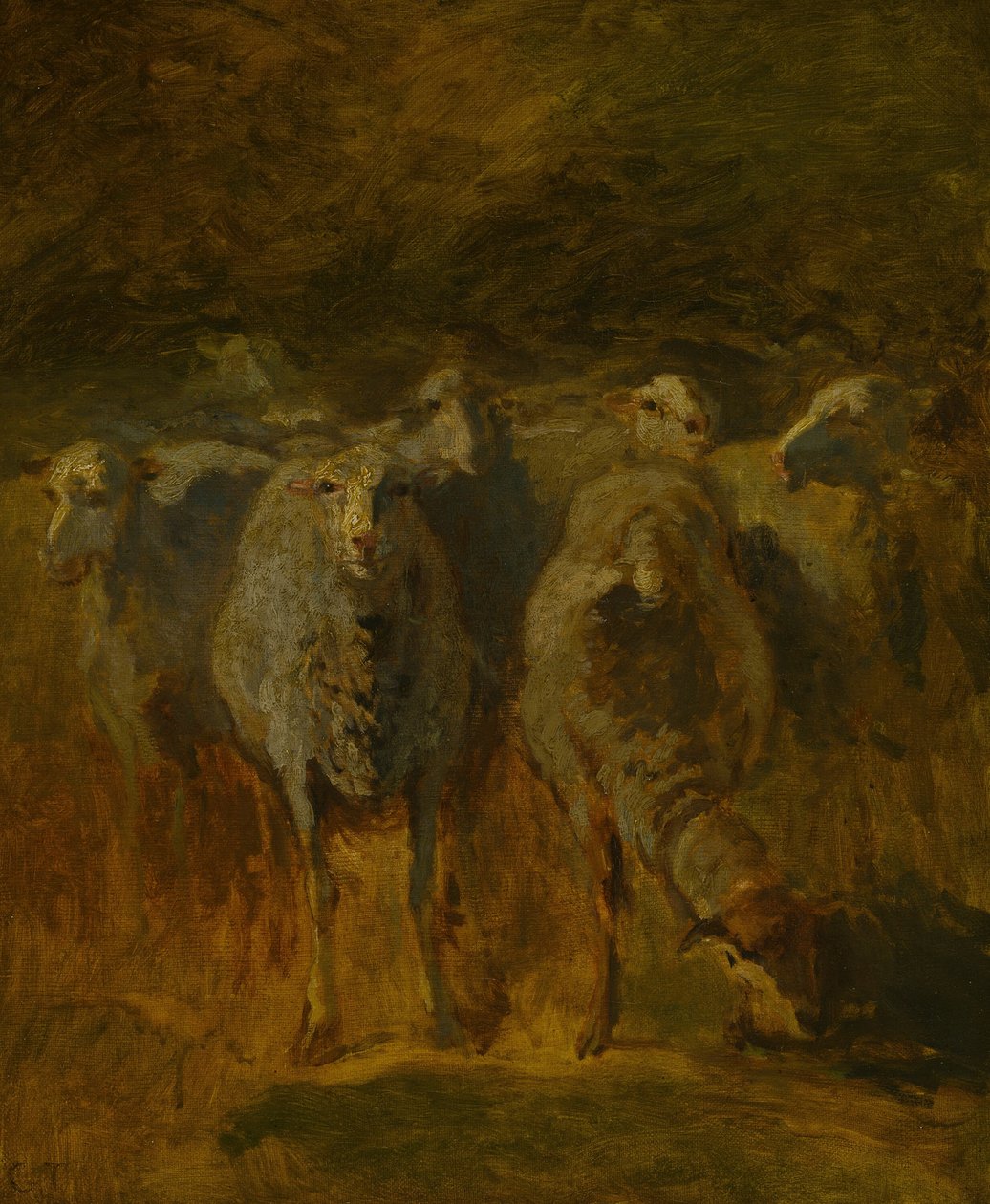 Étude inachevée de moutons - Constant Troyon