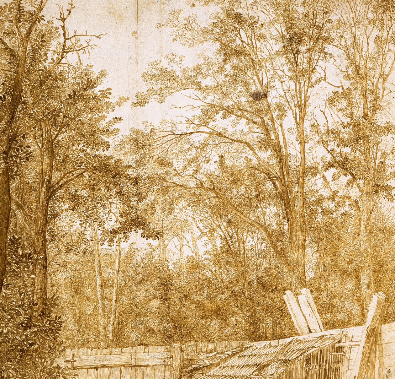 Arbres derrière une clôture en bois, vers 1638-1642 - Hendrick Cornelisz. Vroom