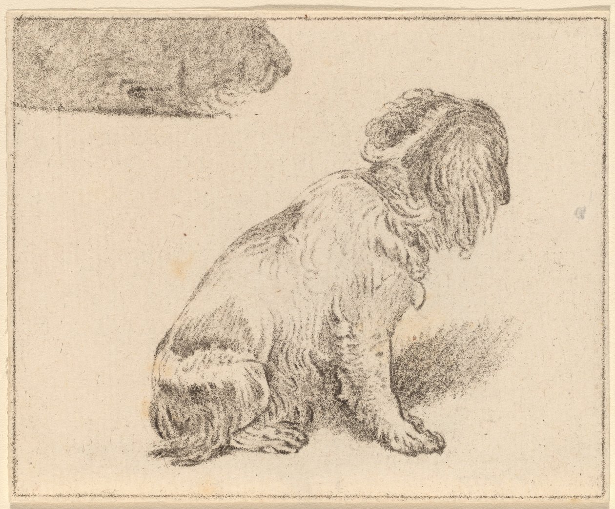 Chien Assis - Cornelis Ploos van Amstel