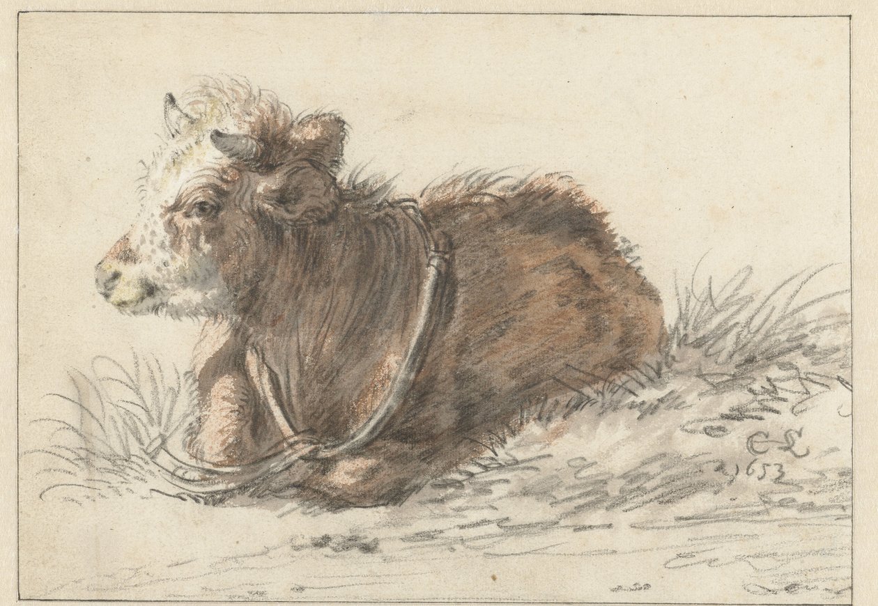 Veau couché, vers la gauche - Cornelis Saftleven