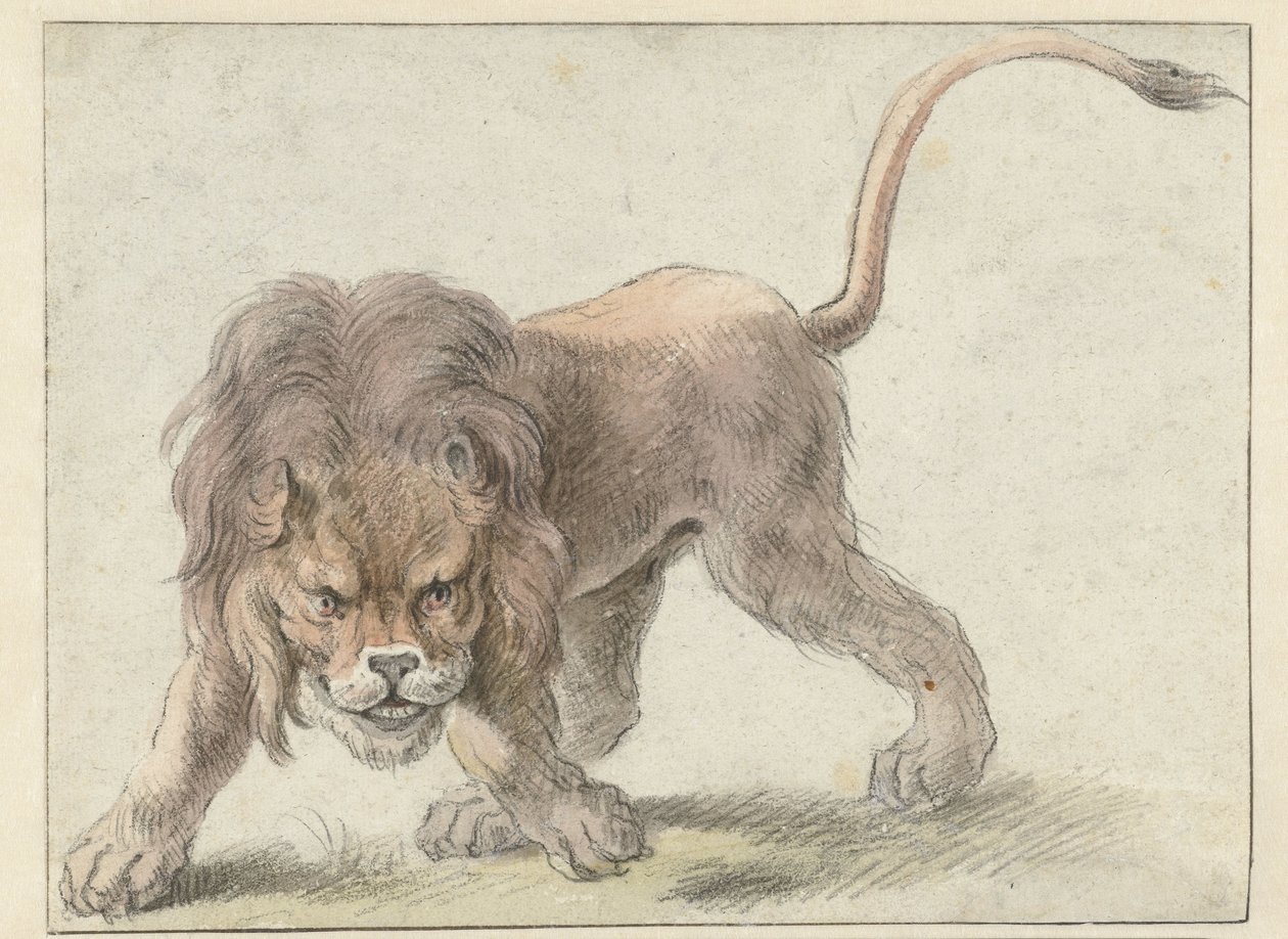 Lion - Cornelis Saftleven