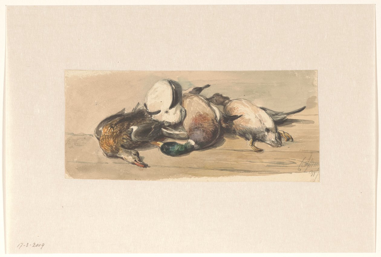 Nature morte avec quatre canards - Cornelis Springer