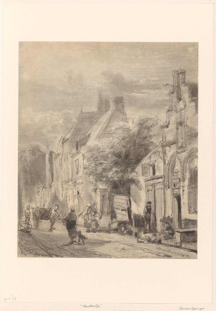 Vue de rue à Harderwijk - Cornelis Springer