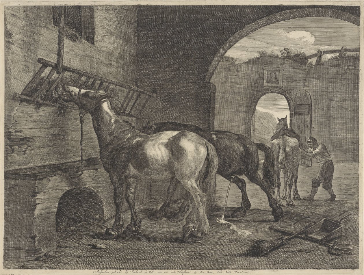 Écurie - Cornelis Visscher (II)