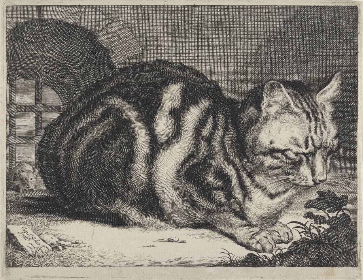 Le Grand Chat - Cornelis Visscher (II)