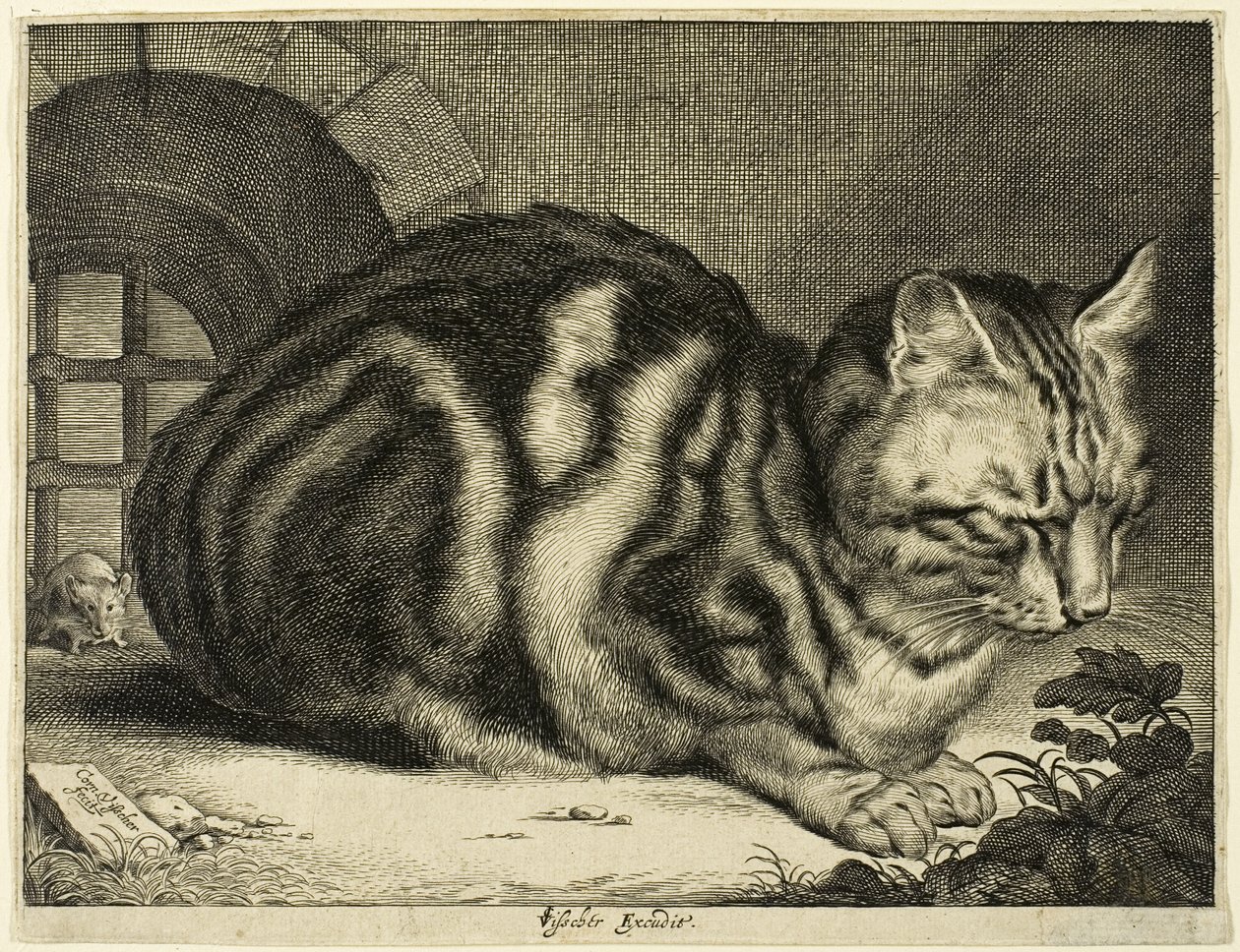 Le grand chat - Cornelis Visscher