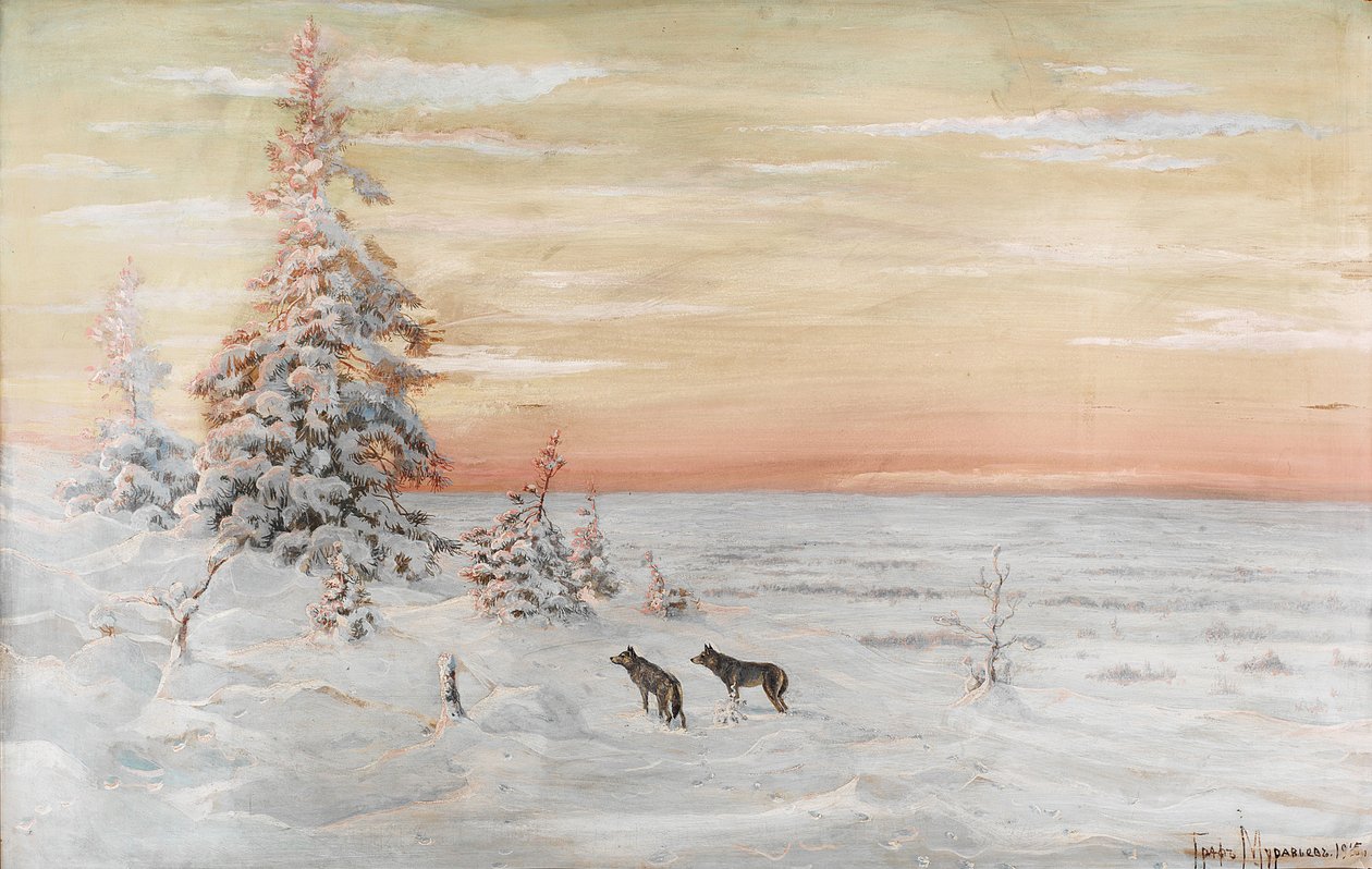 Paysage d