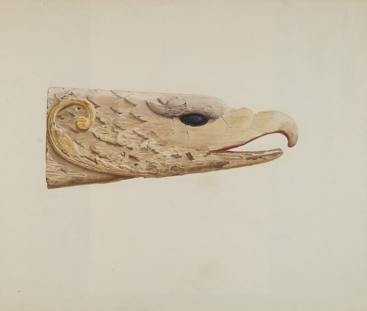 Aigle - Curry M. Bartlett
