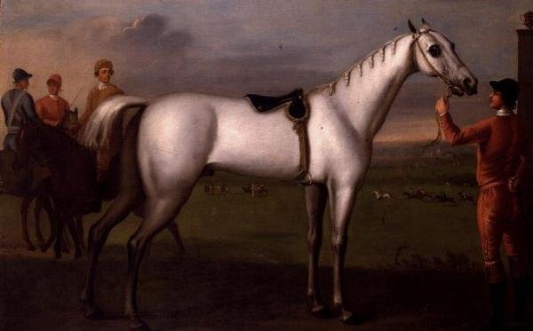 Palefrenier tenant un cheval de course gris - D. Quigley