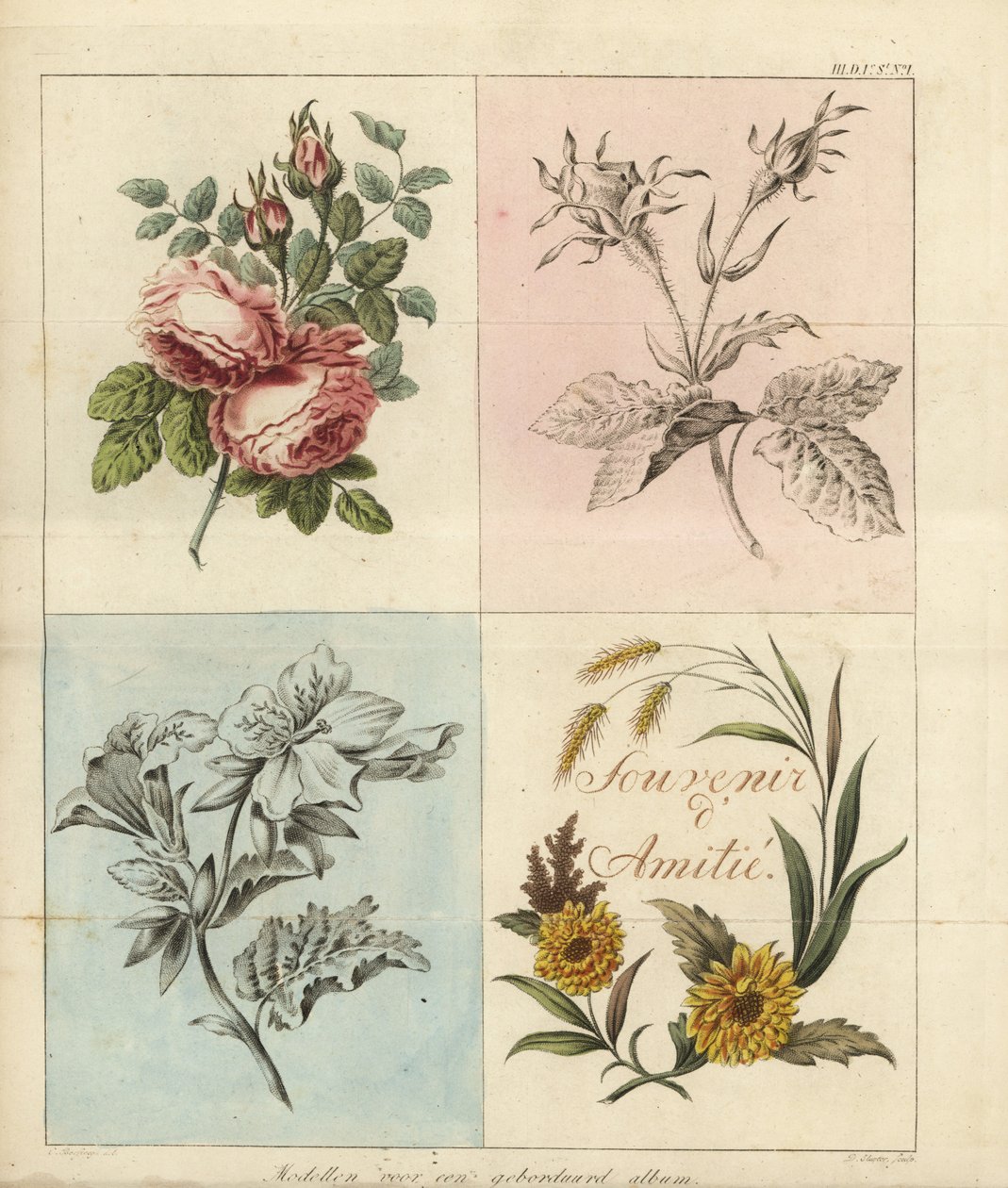 Modèles pour un album de broderie - D. Sluyter