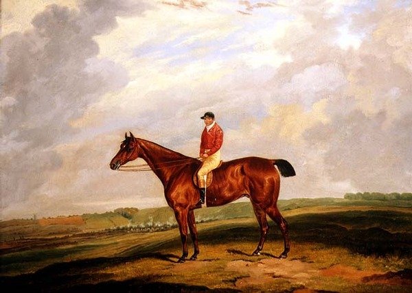 Cheval de course avec jockey - D. the Younger Wolstenholme