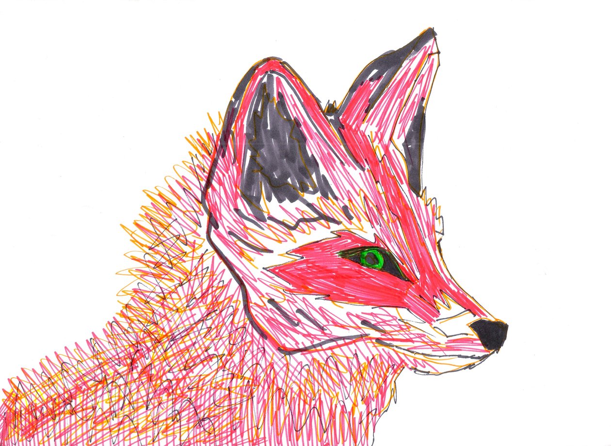Renard (feutre sur papier) - Daisy de Villeneuve