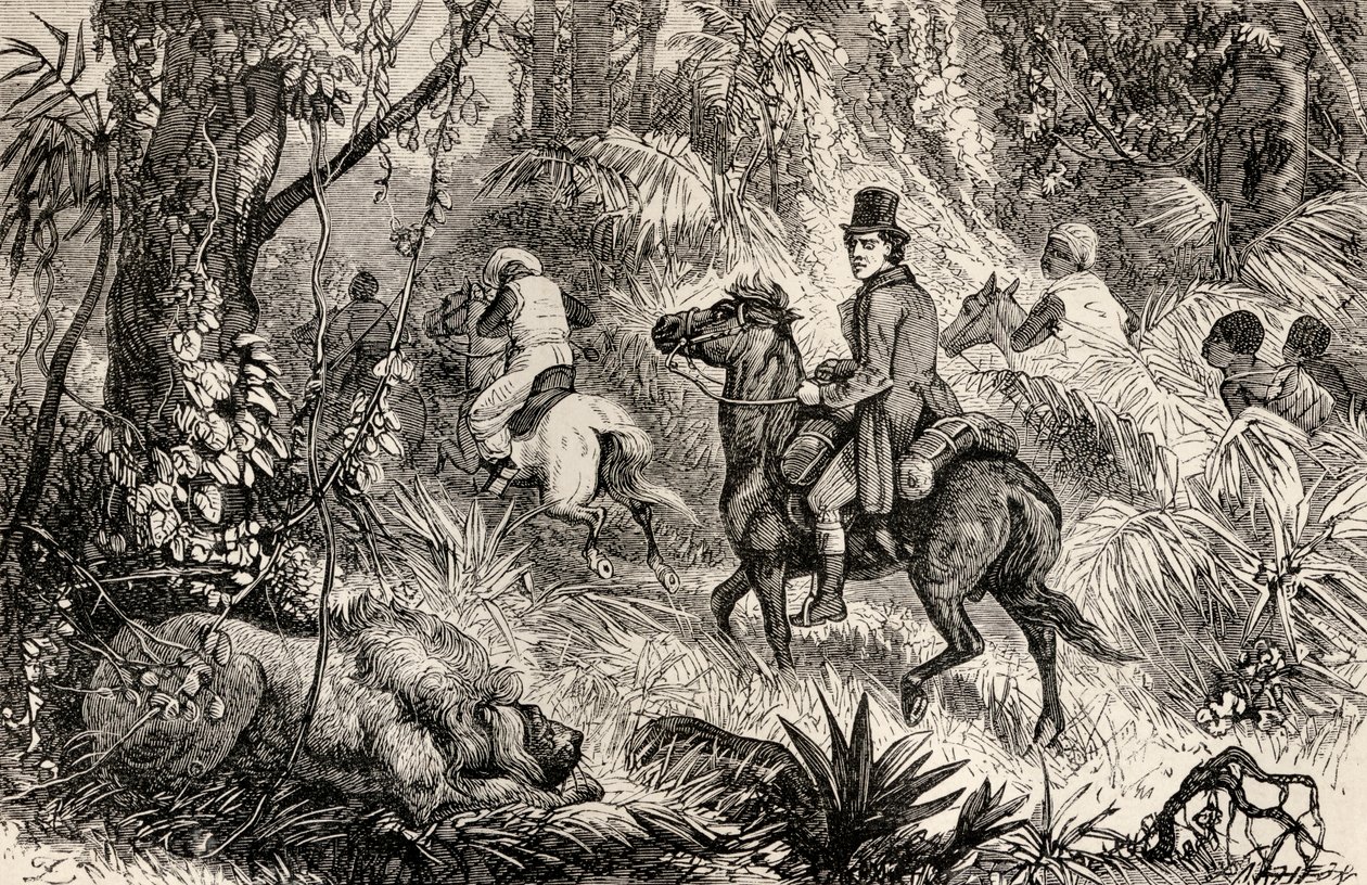 Mungo Park rencontrant un lion en route vers le village de Modiboo, 1825 - Dalziel Brothers