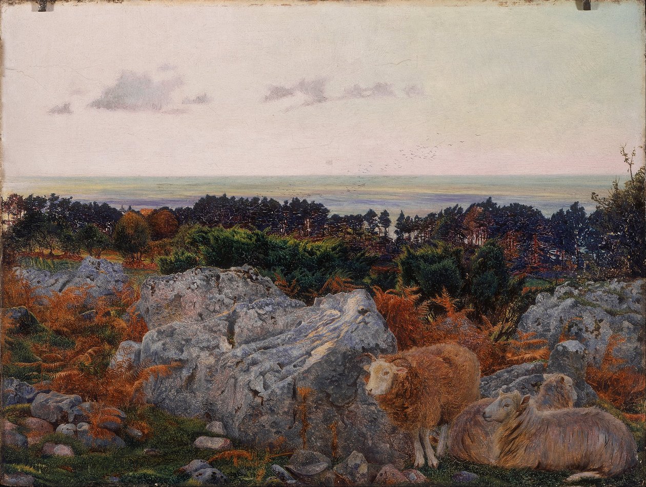 Baie de Morecambe depuis Warton Crag - Daniel Alexander Williamson