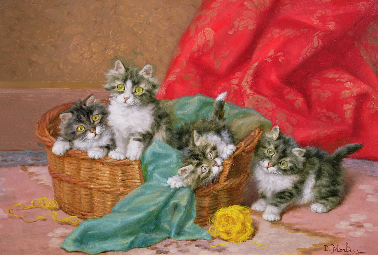 Chatons espiègles - Daniel Merlin