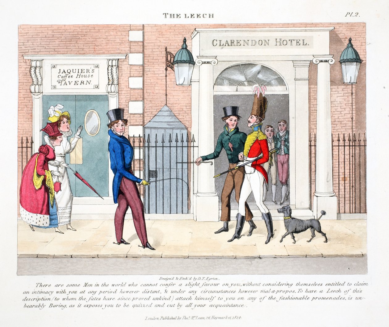 La sangsue, illustration de 