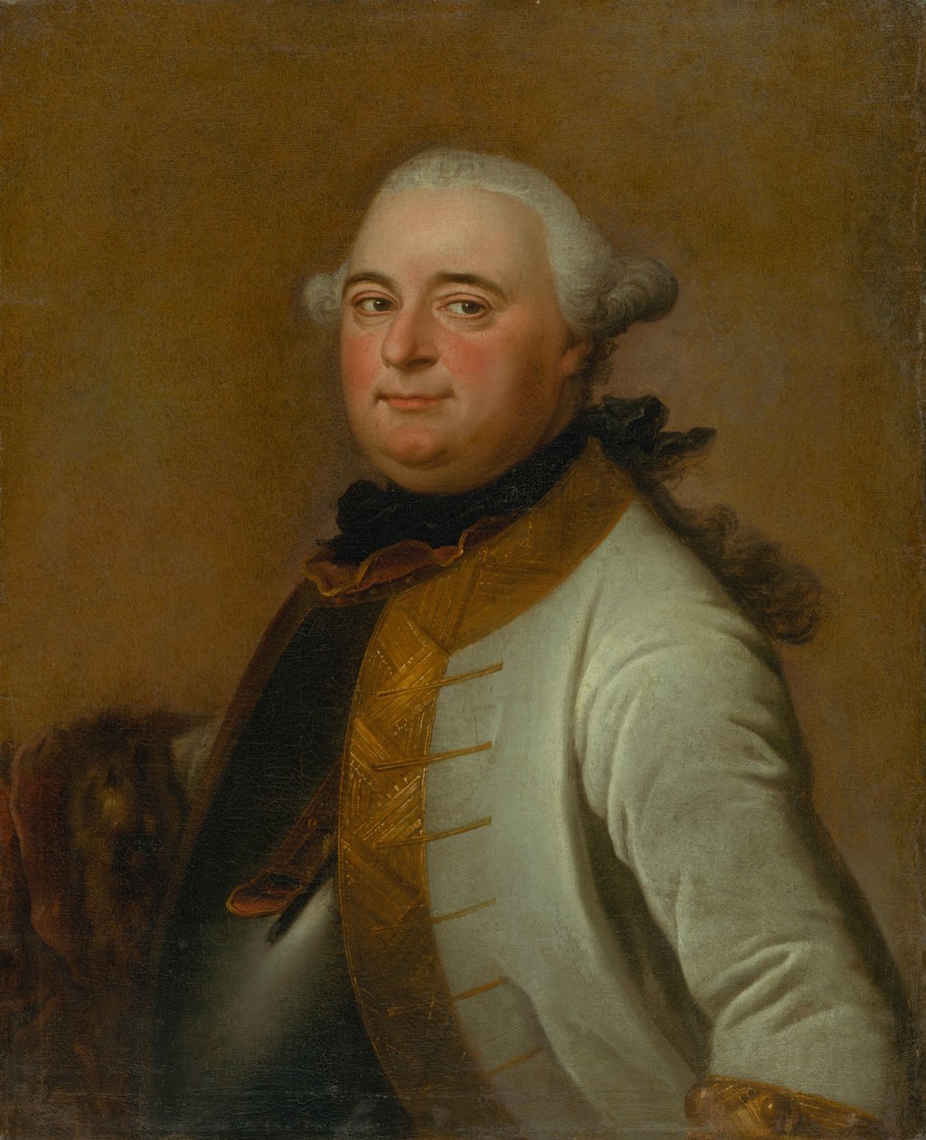 Portrait du maréchal Mikuláš Mednyánszky - Daniel Woge