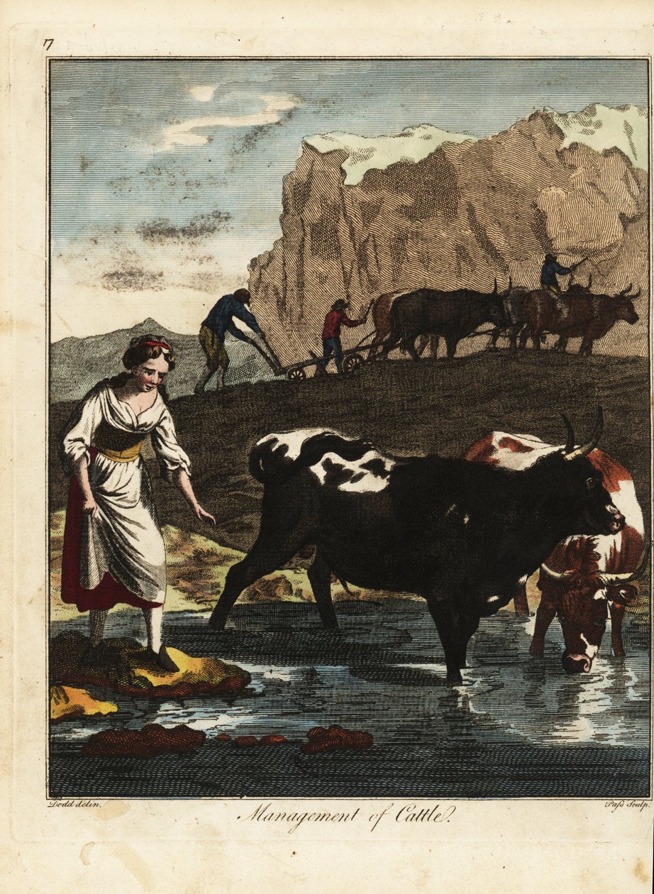 Laitière et fermiers avec du bétail - Daniel (after) Dodd