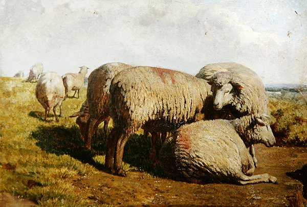 Un groupe de moutons - Daniel Alexander Williamson