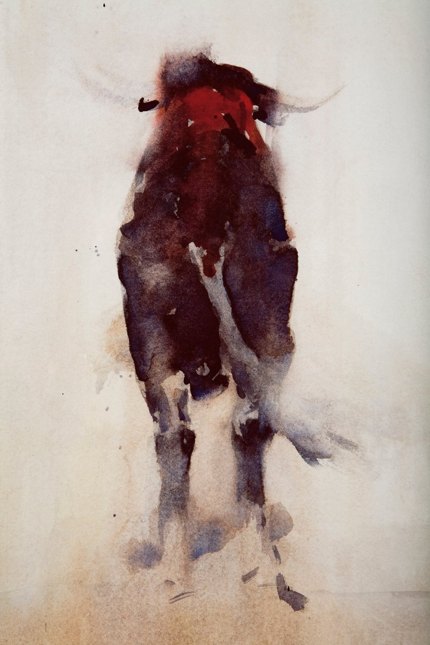 Taureau (détail) - Daniel Cacouault