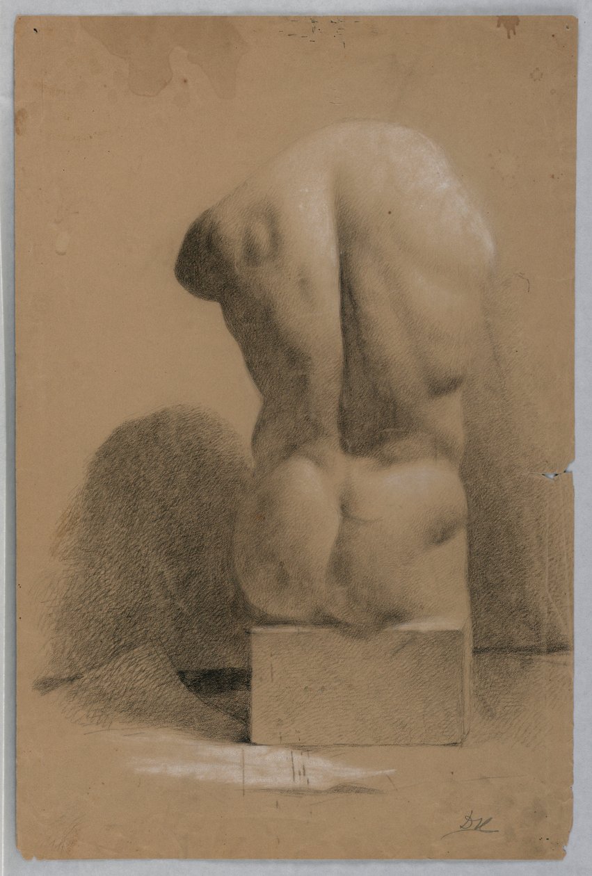 Torso masculin d