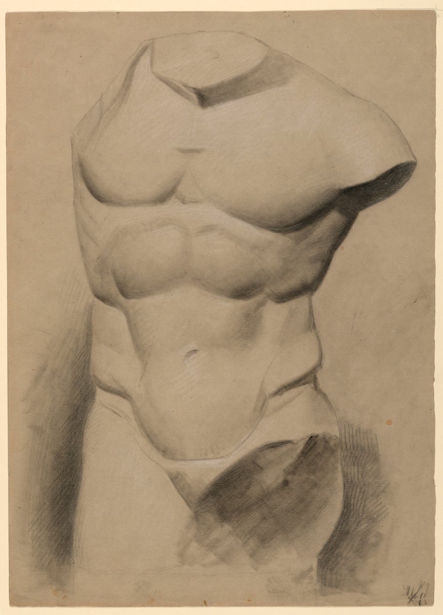 Torso masculin d