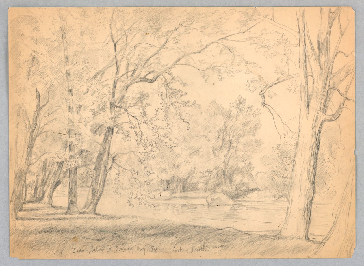 Rivière Saco, North Conway, New Hampshire - Daniel Huntington
