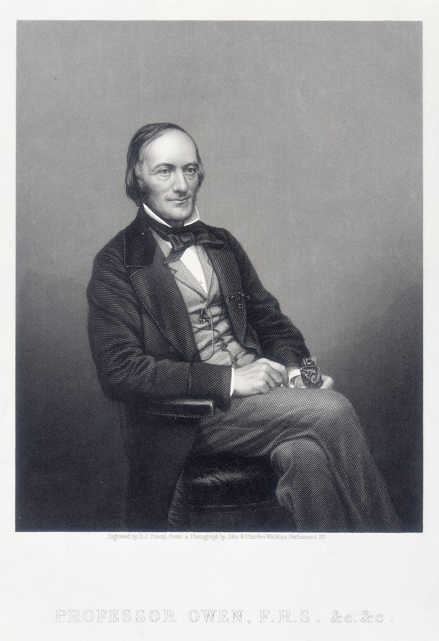 Sir Richard Owen, zoologiste anglais, vers 1860 - Daniel John Pound