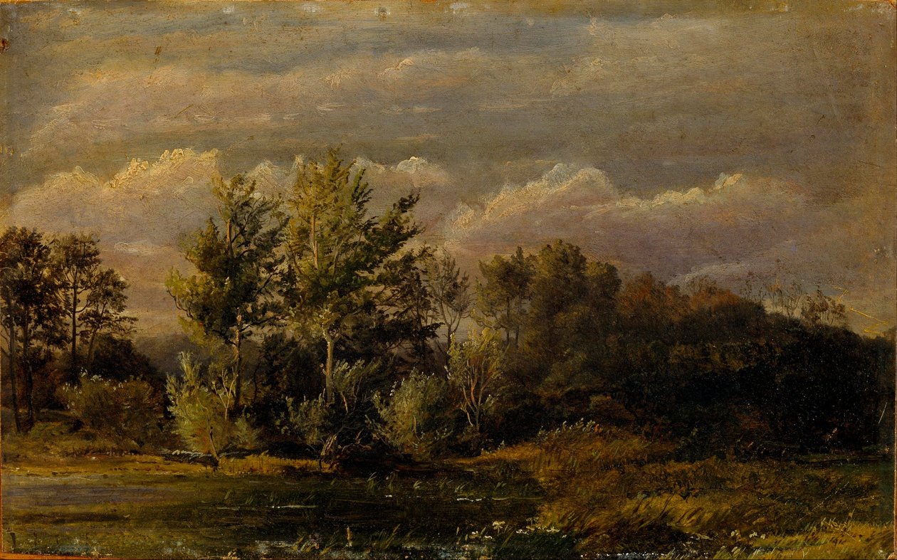 Un lac forestier entouré de bouleaux. Étude. - Dankvart Dreyer