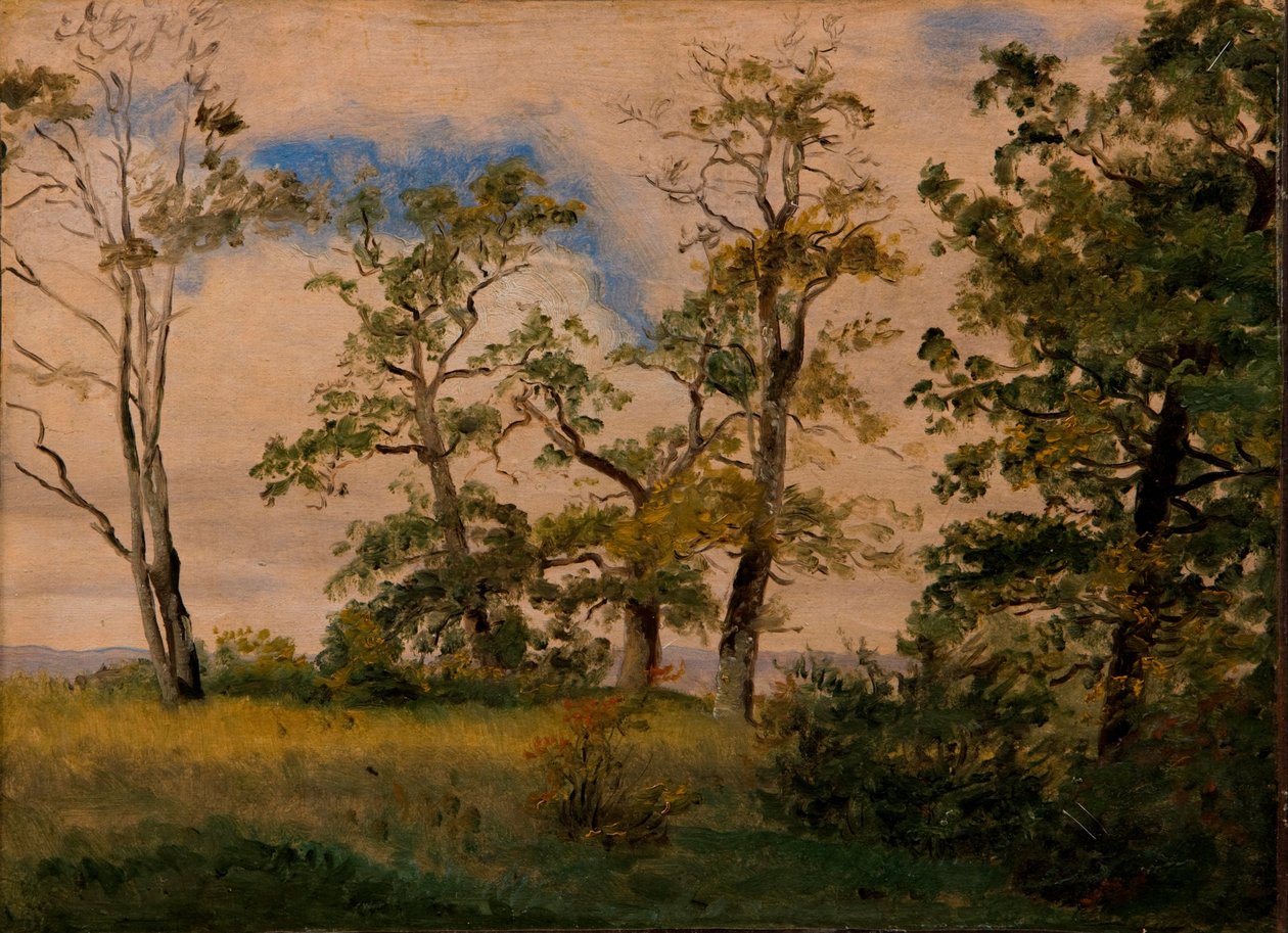 Paysage avec arbres isolés - Dankvart Dreyer