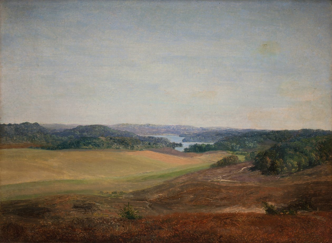 Paysage près de Silkeborg, Jutland - Dankvart Dreyer