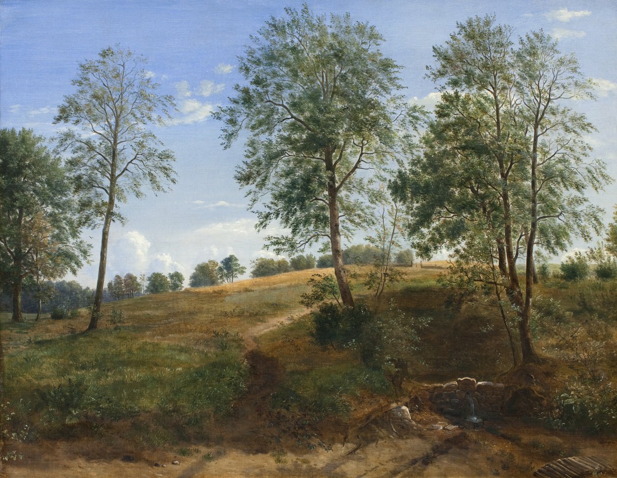 La source Caroline à Næsby sur Fionie - Dankvart Dreyer