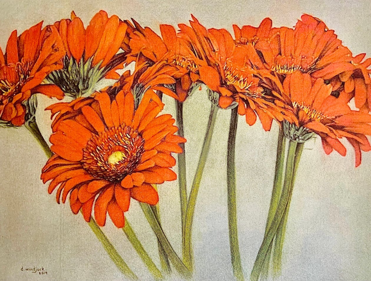 Orange Burst, 2019 - Darrell Windjack