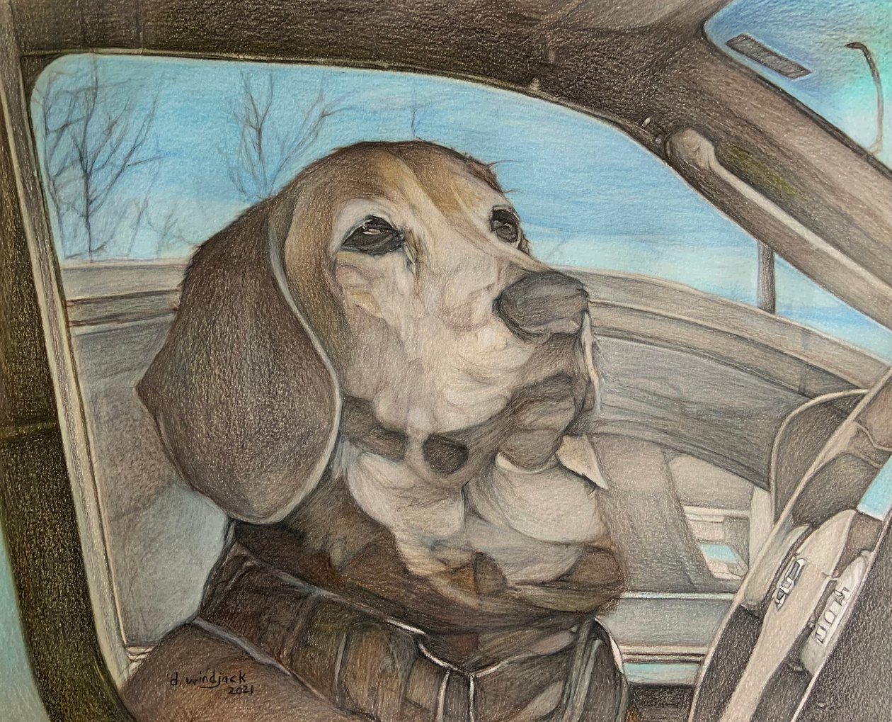 Patience - Darrell Windjack