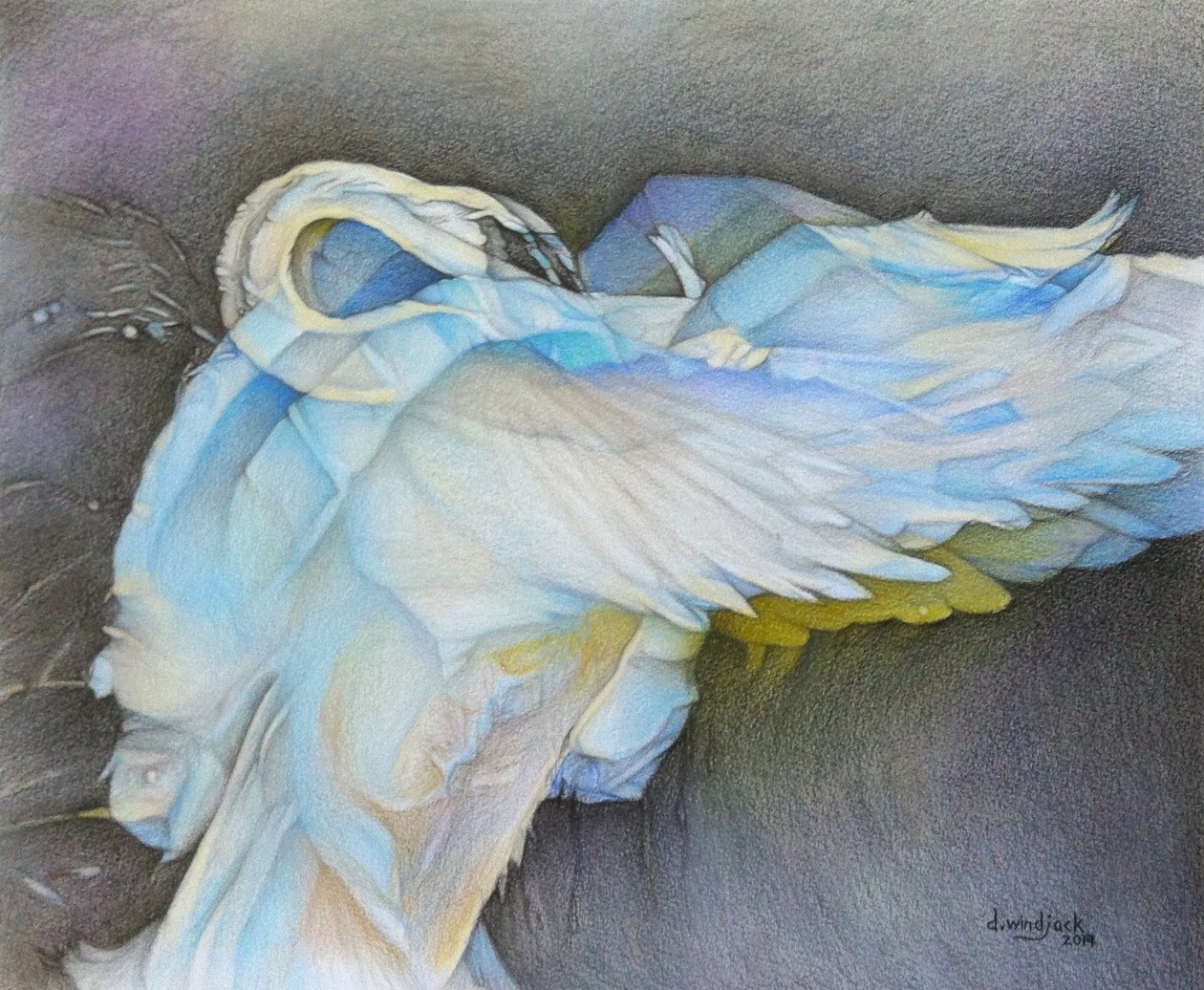 Prendre son envol, 2019 - Darrell Windjack