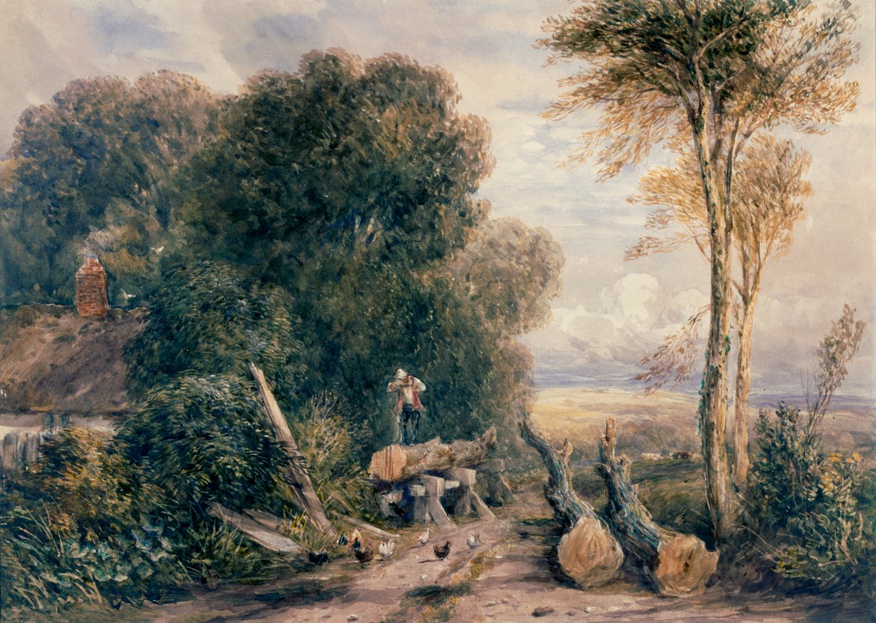 La fosse à sciage - David Cox