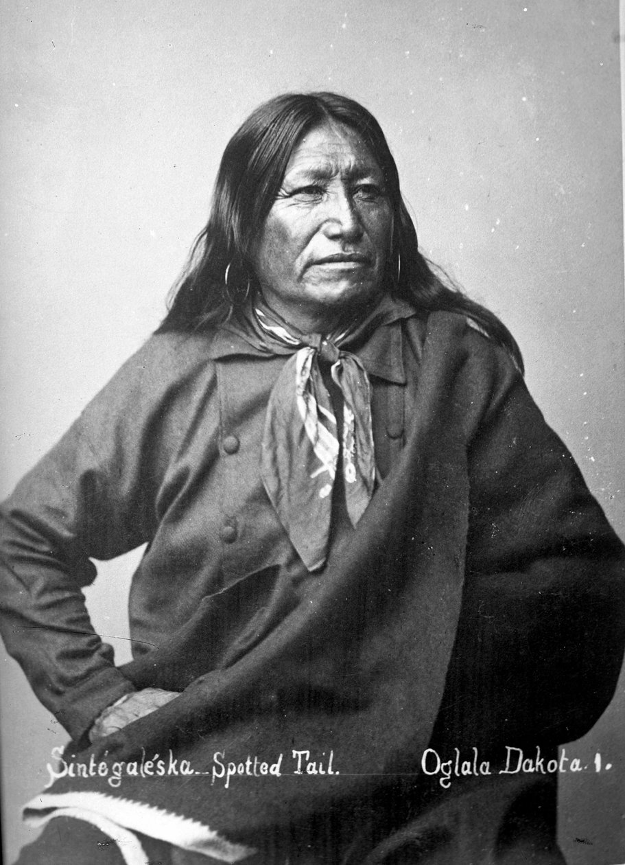 Sintegaleska, Queue Tachetée, Oglala Dakota I, années 1880 - David Frances Barry