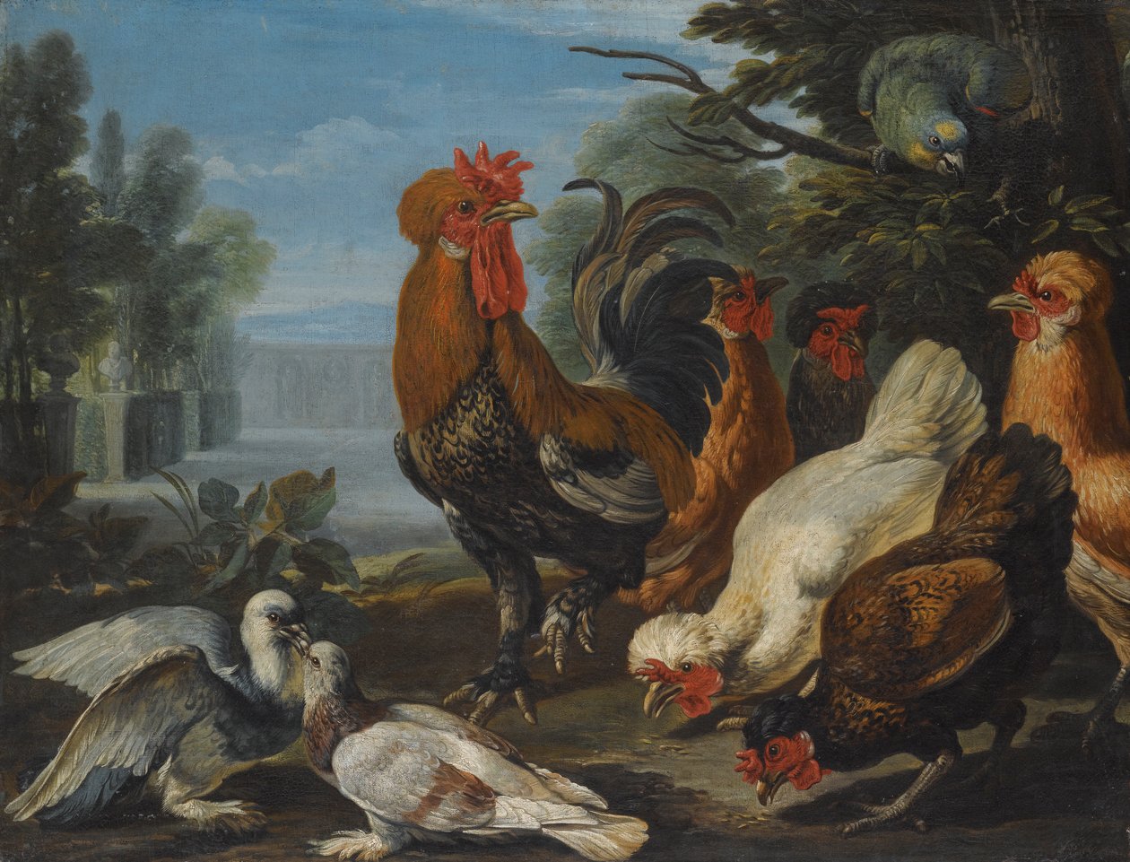 Un coq, des poules, des pigeons et un perroquet dans un jardin - David de Coninck