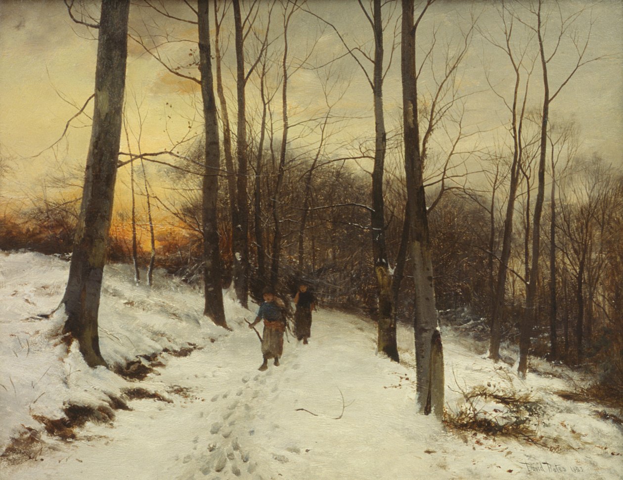 Bois de Malvern - David Bates