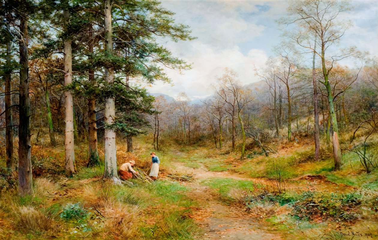 Sur le Long Mynd, Church Stretton, 1907 - David Bates
