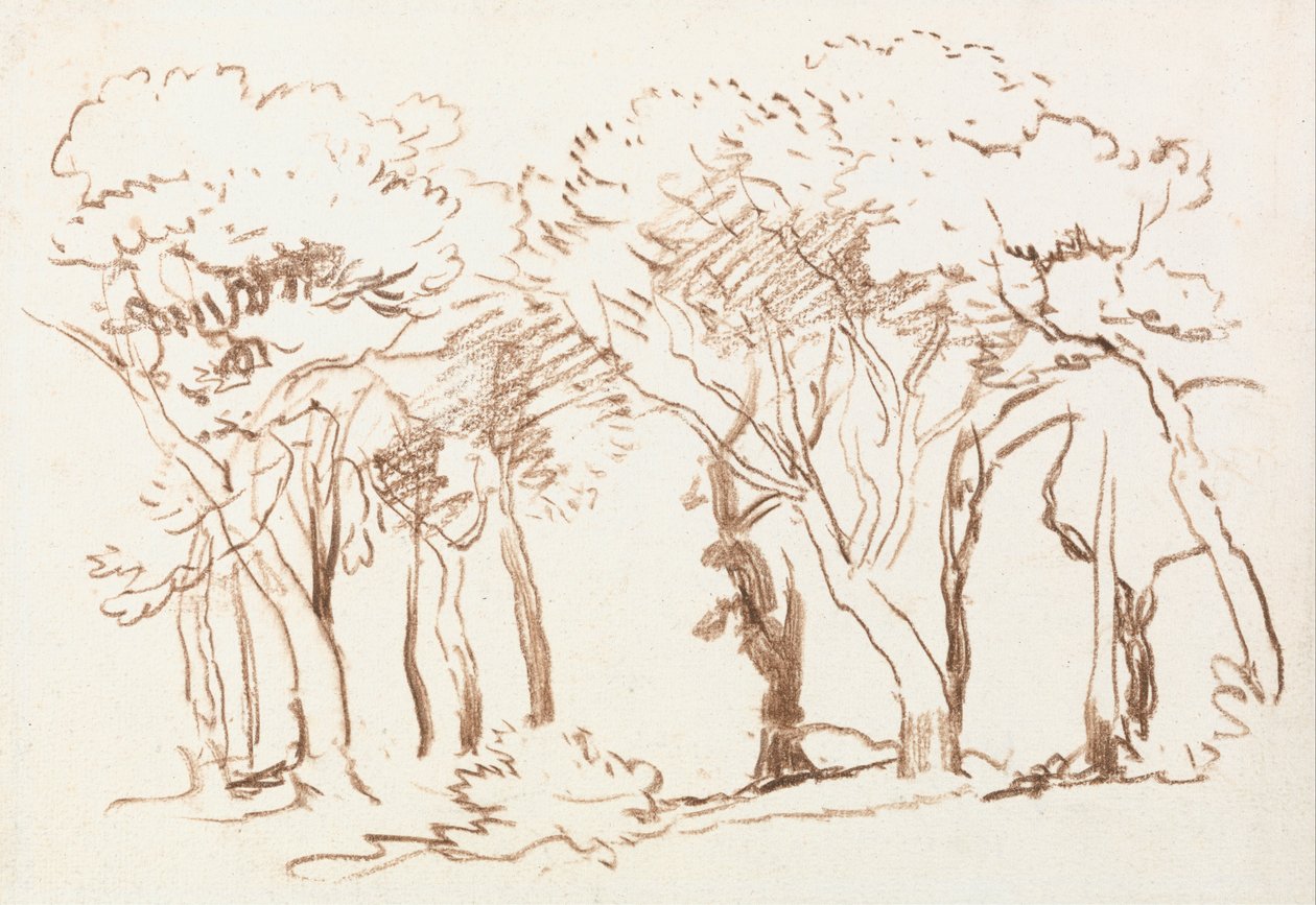 Étude des arbres - David Cox